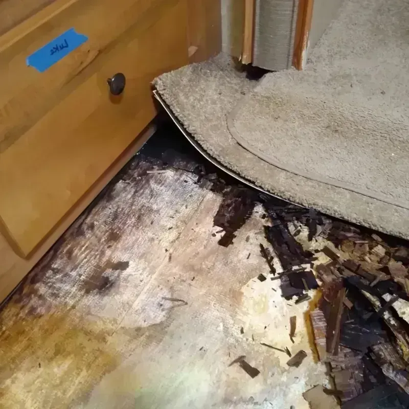 Wood Floor Water Damage in Guthrie County, IA